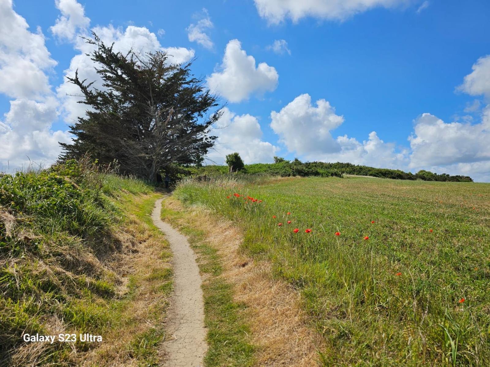 Camping Village Nature D'O Hillion Esterno foto